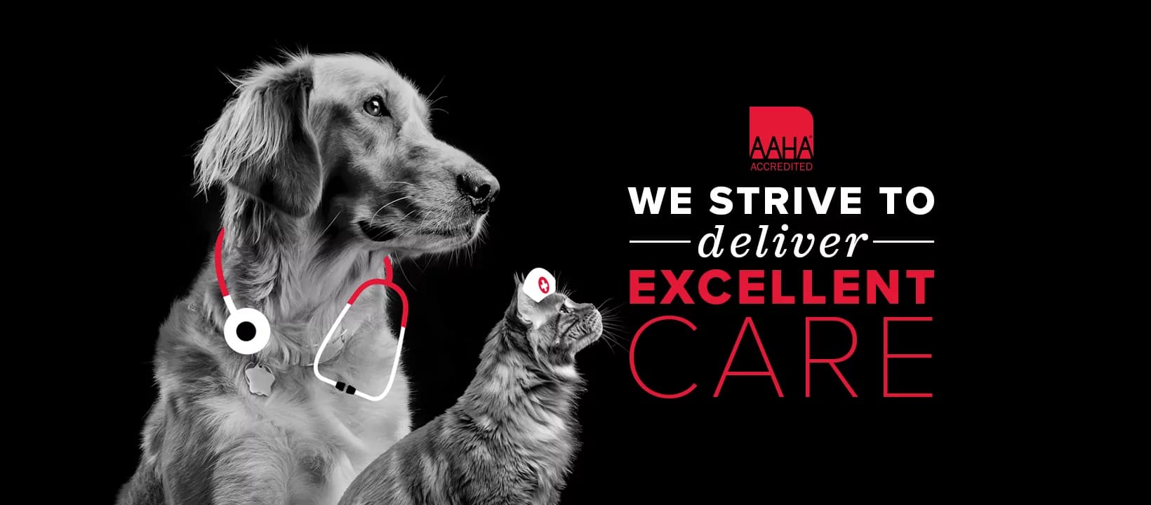 Cover Westrivetodeliverexcellentcare