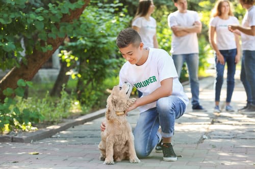 teenage-volunteer-petting-dog-at-animal-shelter