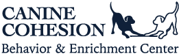 Cc Blue Horizontal Logo