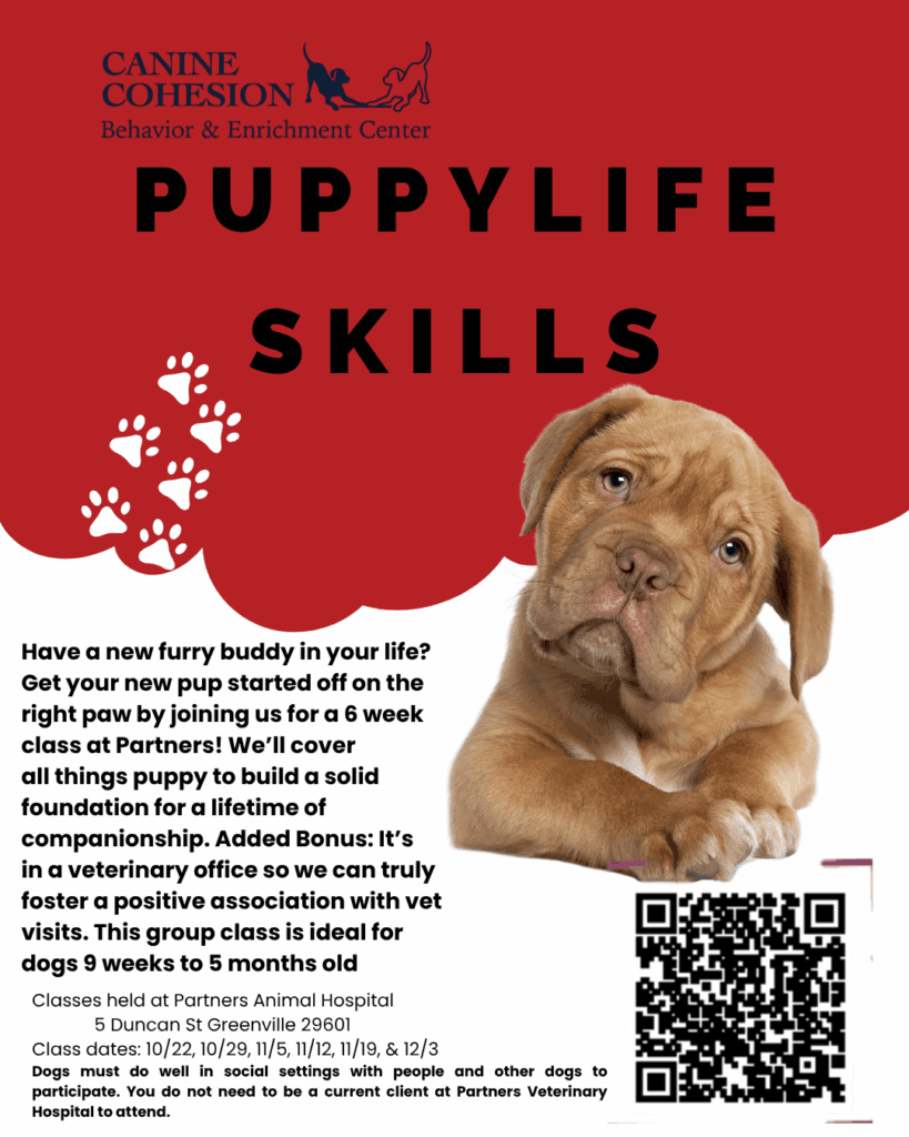 Puppy life skills class flyer Puppy life skills class flyer