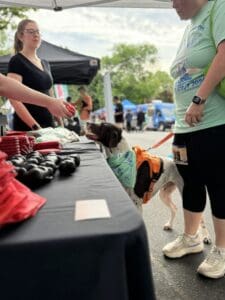 Img 7074