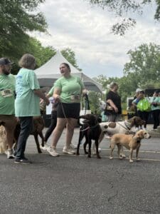 Img 7163