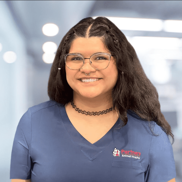 Karen H. Karen H.